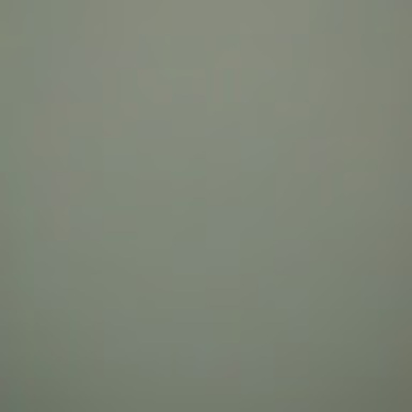 Meet your Posher, Tamara - Picture 1 of 1